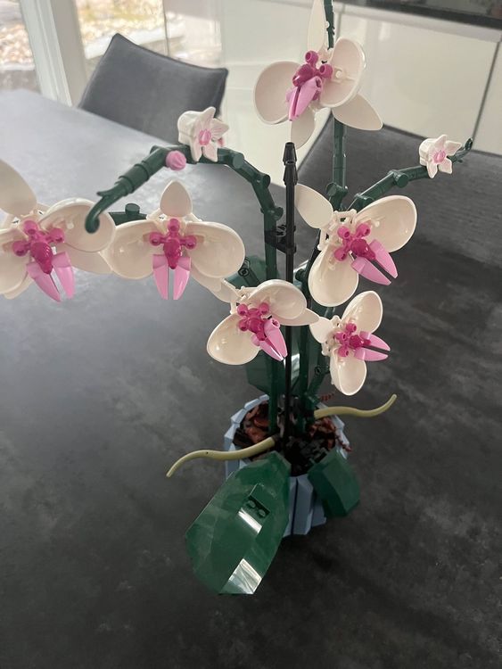 Lego Orchidee  Acheter sur Ricardo