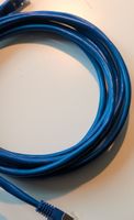 blaues Ethernet Kabel - Ideal für Homeoffice!
