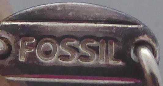 Fossil Catenine: Kette 925 Silber von Fossil – Usato da Muri AG venduto da Lineli2020 2