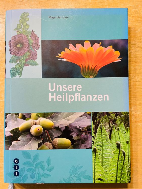 Die heilende Kraft der Pflanzen –  Kolumne von Irene Dalichow – 8er Bundle