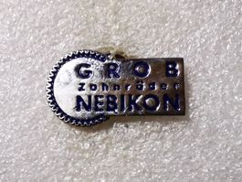 Ansteckpin 79: Grob Nebikon
