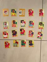 Panini Sticker