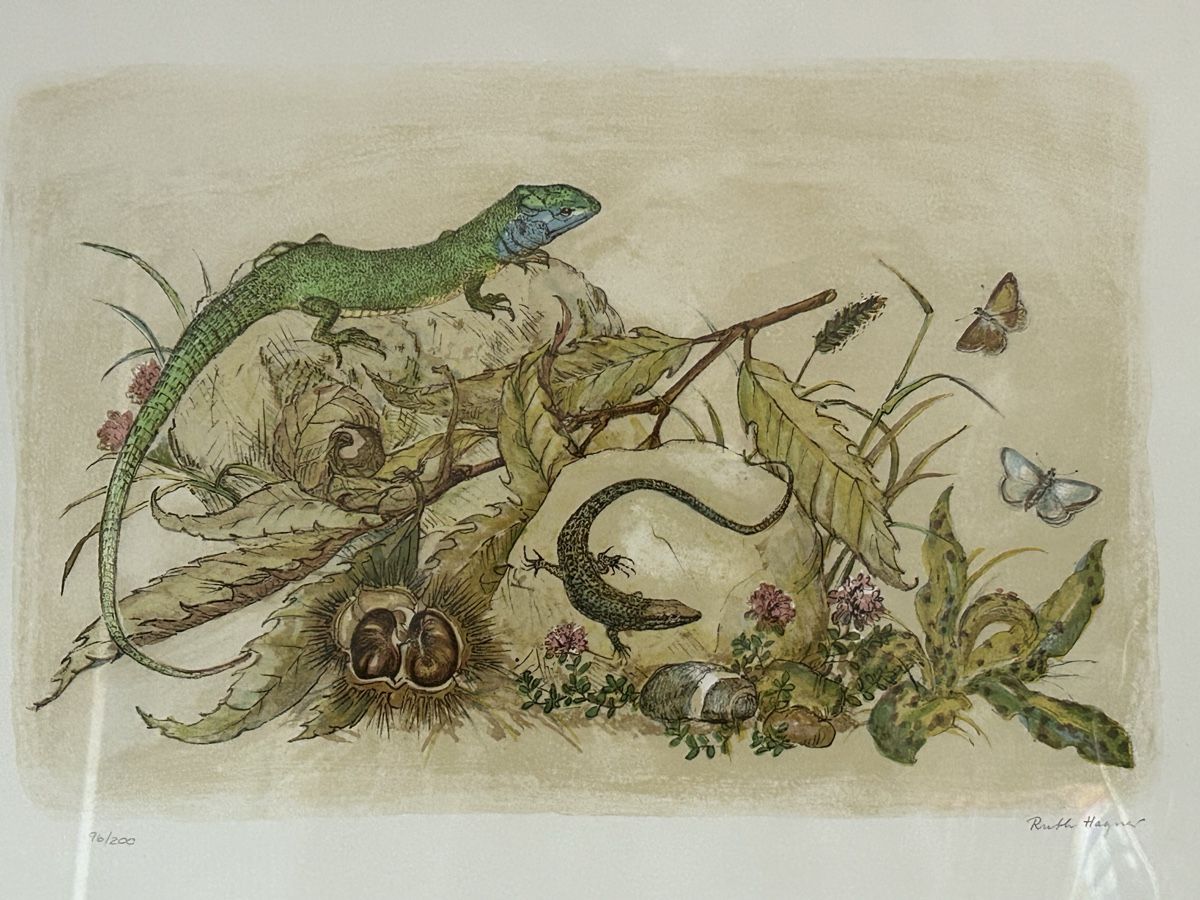 Grafica & Litografie: Nummerierte Lithografie mit Eidechsen / Ruth Hagner – Usato da Himmelried venduto da rasmus67 1