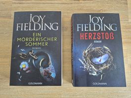2 Bücher von Joy Fielding