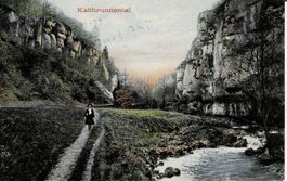 KALTBRUNNENTAL BL gel. 1909 mit Balkenstempal Grellingen!