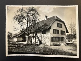 Beinwil am See (Jugi)