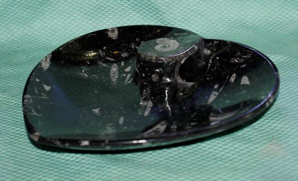 Fossili: Orthoceras/Ammoniten-Teller – Nuovo (secondo la descrizione) da Walenstadt venduto da vkt_qc8d 2