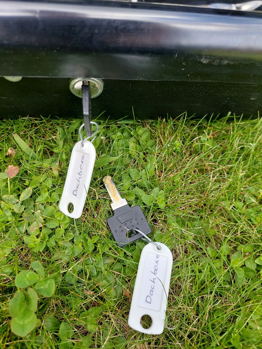Box da tetto: Dachbox Typ Moby Dick 15, Neuwertig – Usato da Subingen venduto da K7passt_immer 6