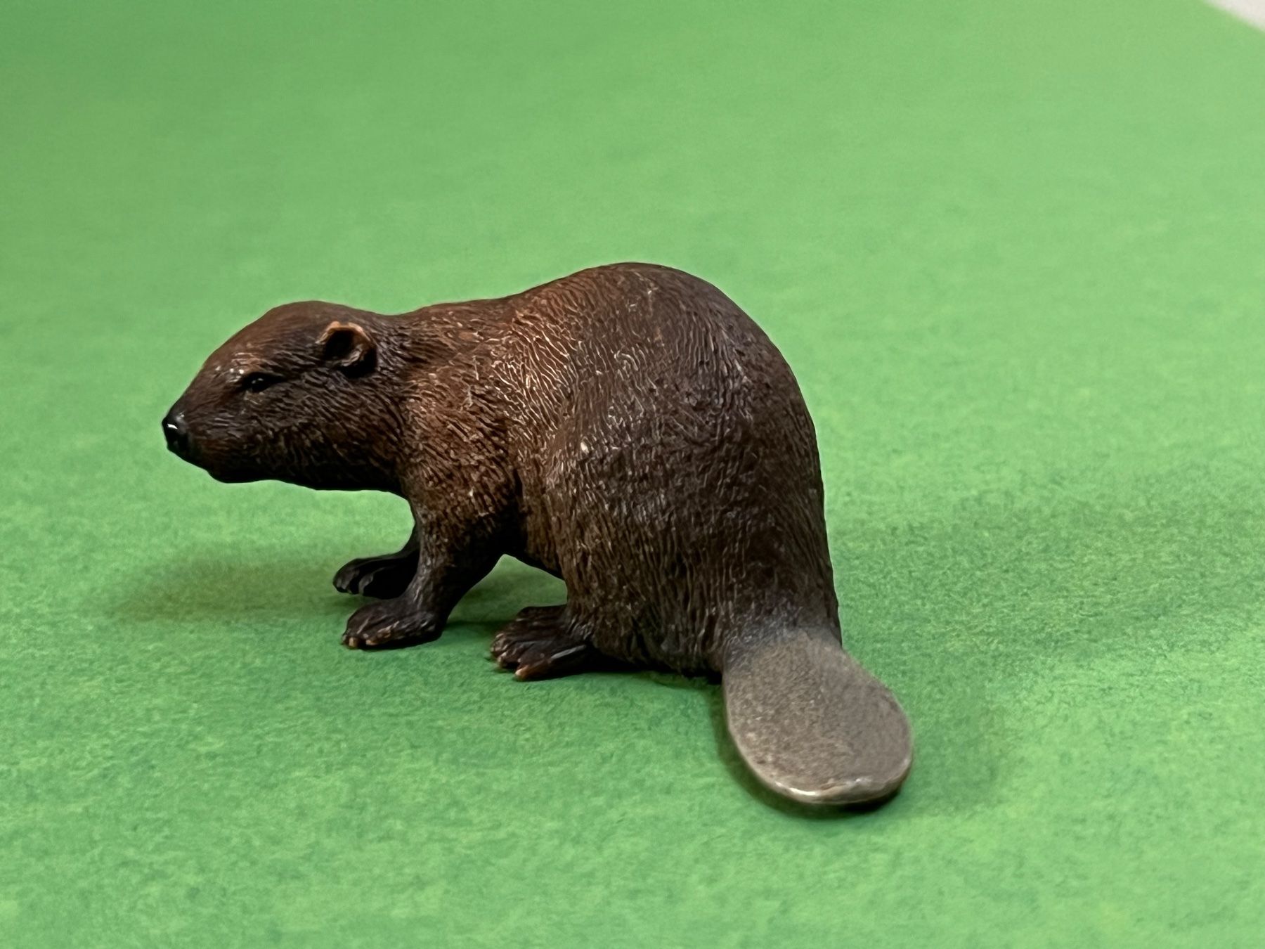 Schleich Statuette: Schleich Biber 14693 Tier – Usato da Ennetbaden venduto da mapa05 1