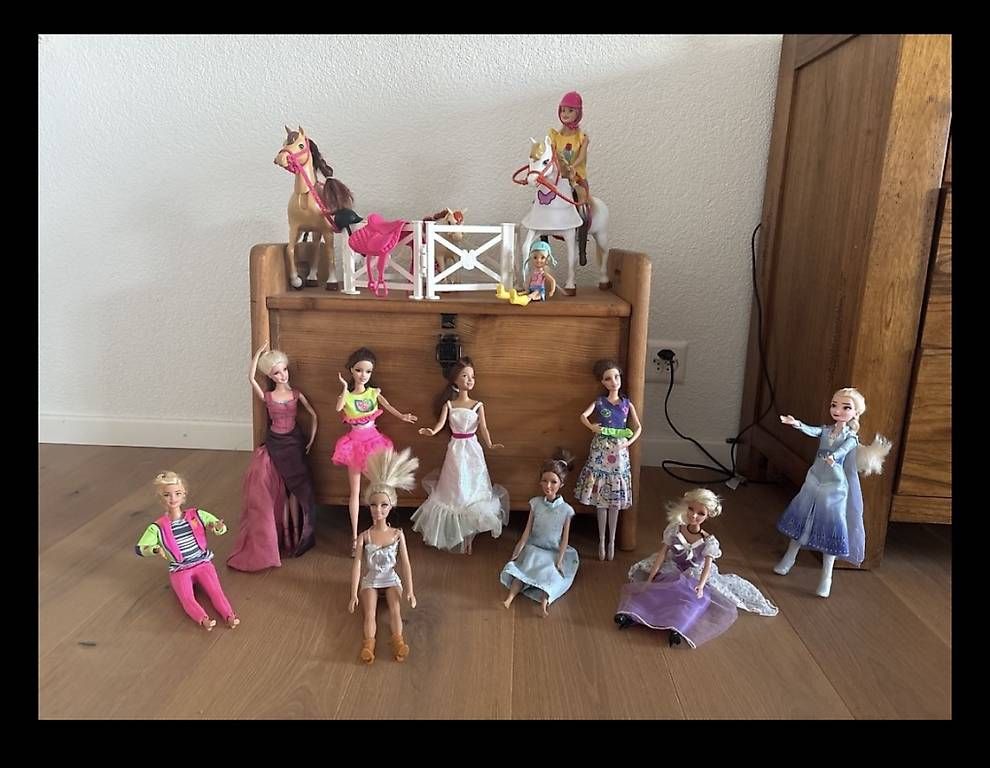 Spielzeuge: Barbies, Pferde und Zubehör  – Gebraucht aus Wald ZH von Schlumpfine80