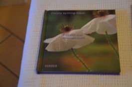 MINI BUCH