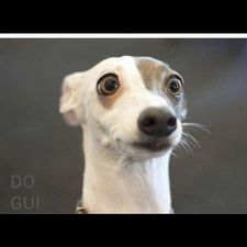 Profile image of Roserouge0