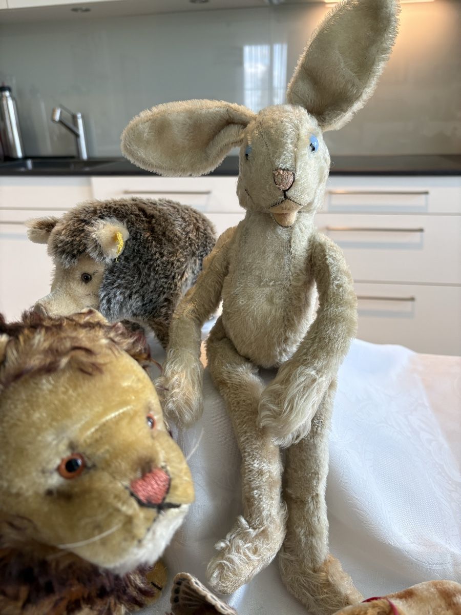 Steiff Spielzeuge: Steifftiere – Gebraucht aus Schönenberg ZH von Roxana8820 2