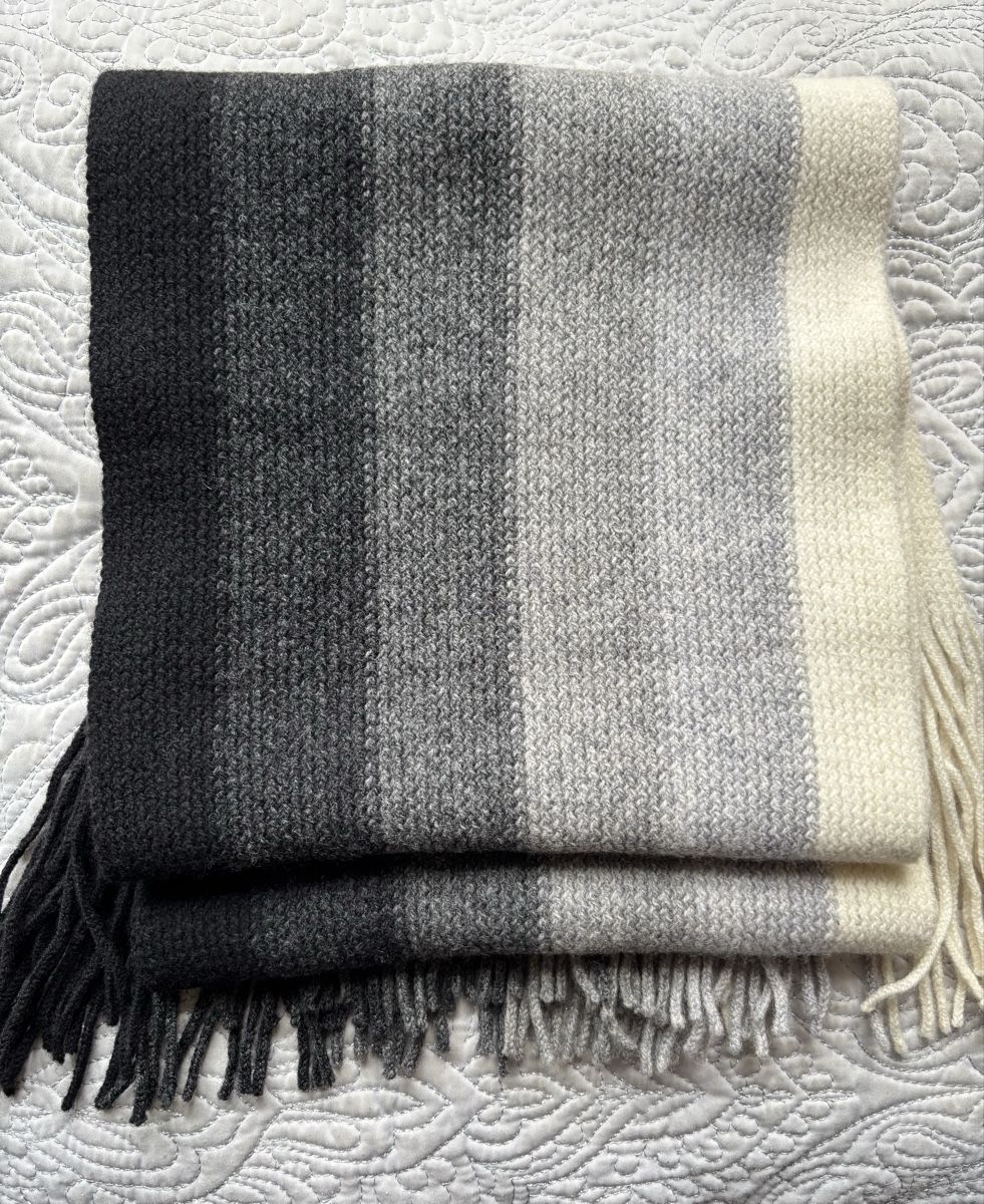 Gant Schals: Schal  – Gebraucht aus Wichtrach von oem_7glc 2