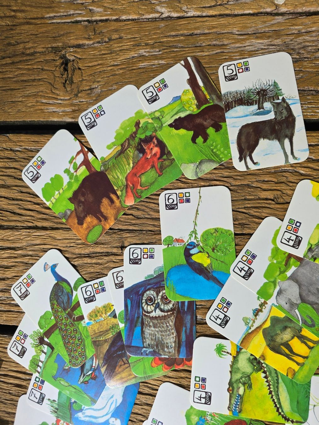 Giochi: Quartett: Kartenspiel Tiere – Usato da Romanshorn venduto da Rachacha 5