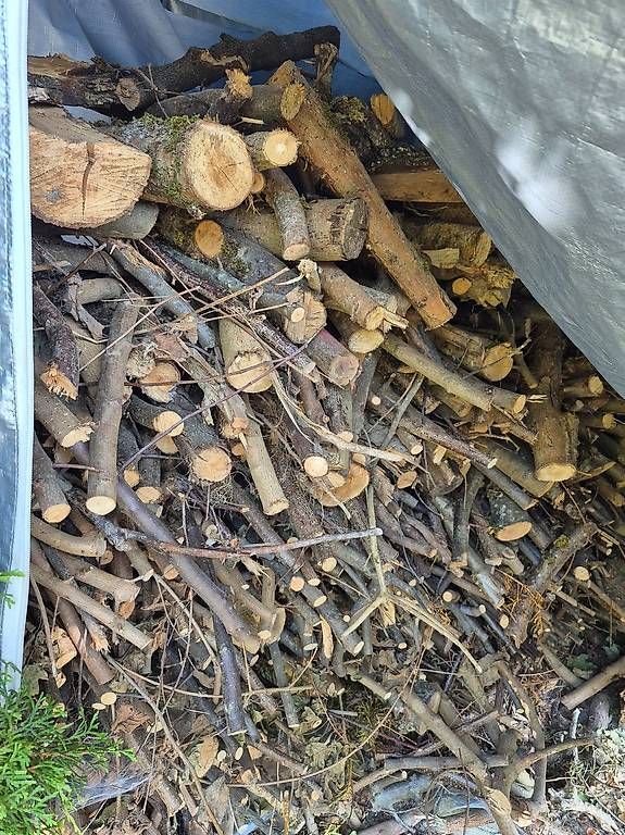 Articoli in legno: Viel Holz – Usato da Unterentfelden venduto da Mo.St 1