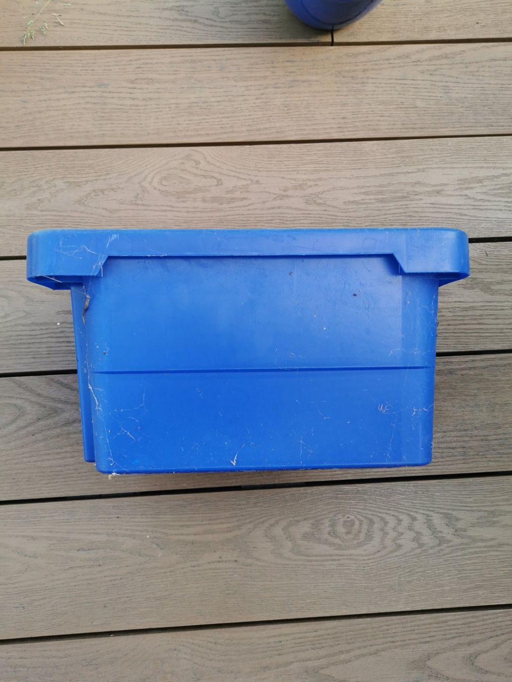 Casse di trasporto: Robuste blaue Kunststoffbox – Usato da Glattfelden venduto da sut_q8d2 3