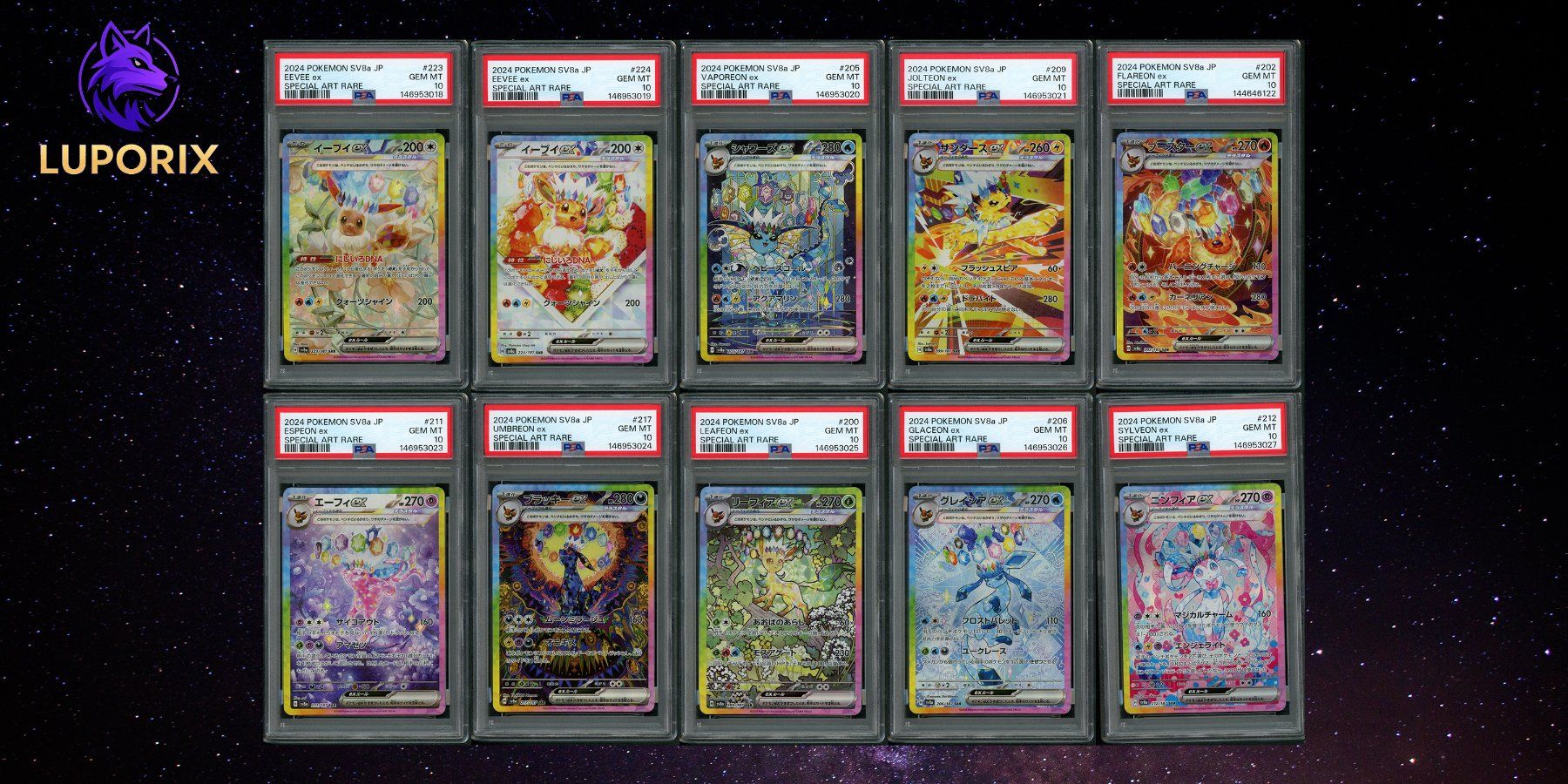 Pokémon Carte collezionabili: PSA 10 Terastal Festival Eevee Evolution SAR Complete Set – Nuovo (secondo la descrizione) da Oensingen venduto da CSCollectors