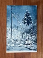 AK  1909 Winterlandschaft Herisau-London    (G2073)