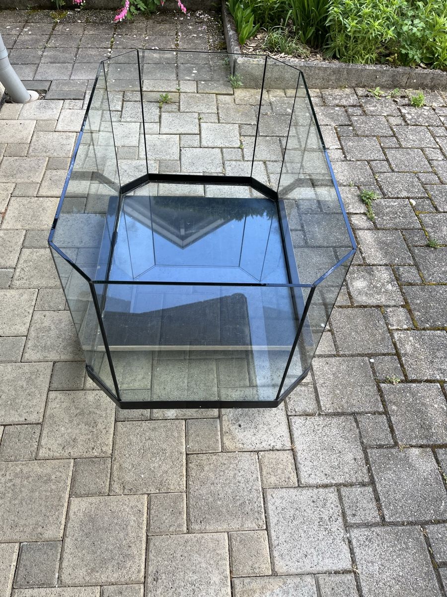 Terrariums: Terrarium – D'occasion à Rossrueti par Kalle0 1