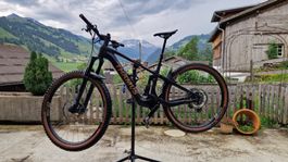 Thömus E-Ultimate (Frisch ab Service & NEUER Akku 360wh)