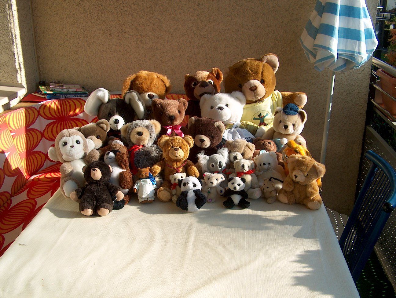 Jouets: Teddybären – D'occasion à Wetzikon ZH par Magopa 3