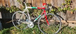 Giant Rennvelo, Vintage,  Stahlrahmen Ideal für dein Projekt