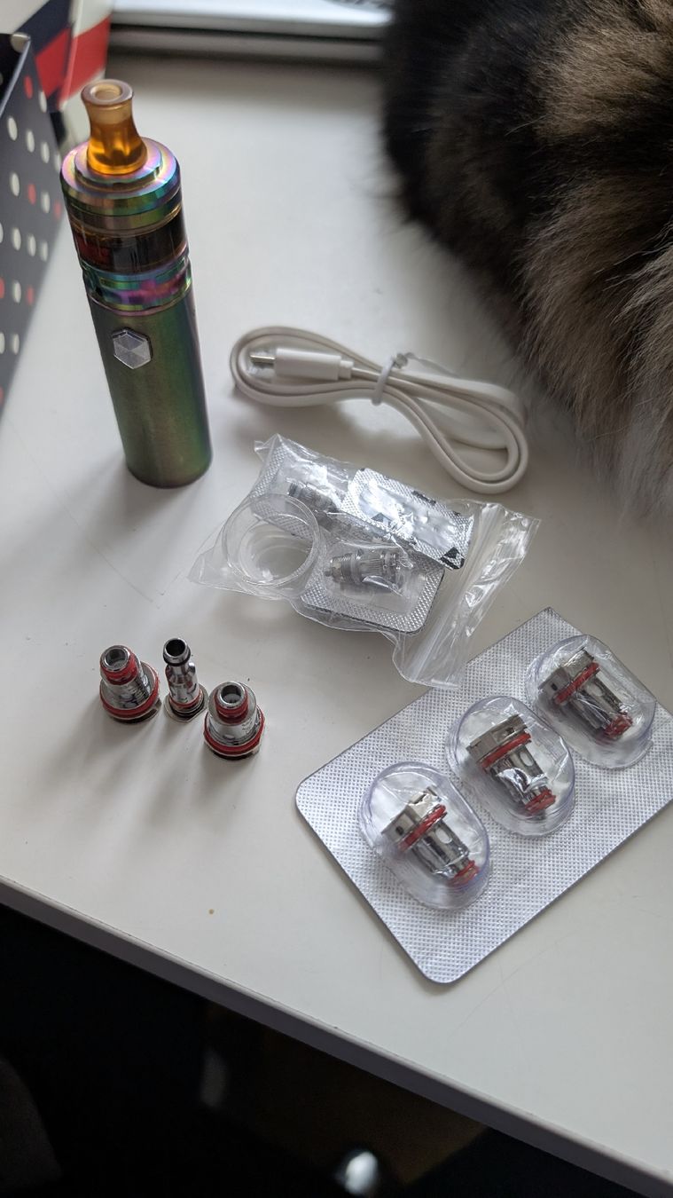 Geekvape Sonstige Tabakwaren: Vapoteuses – Gebraucht aus Bernex von Natalys 1