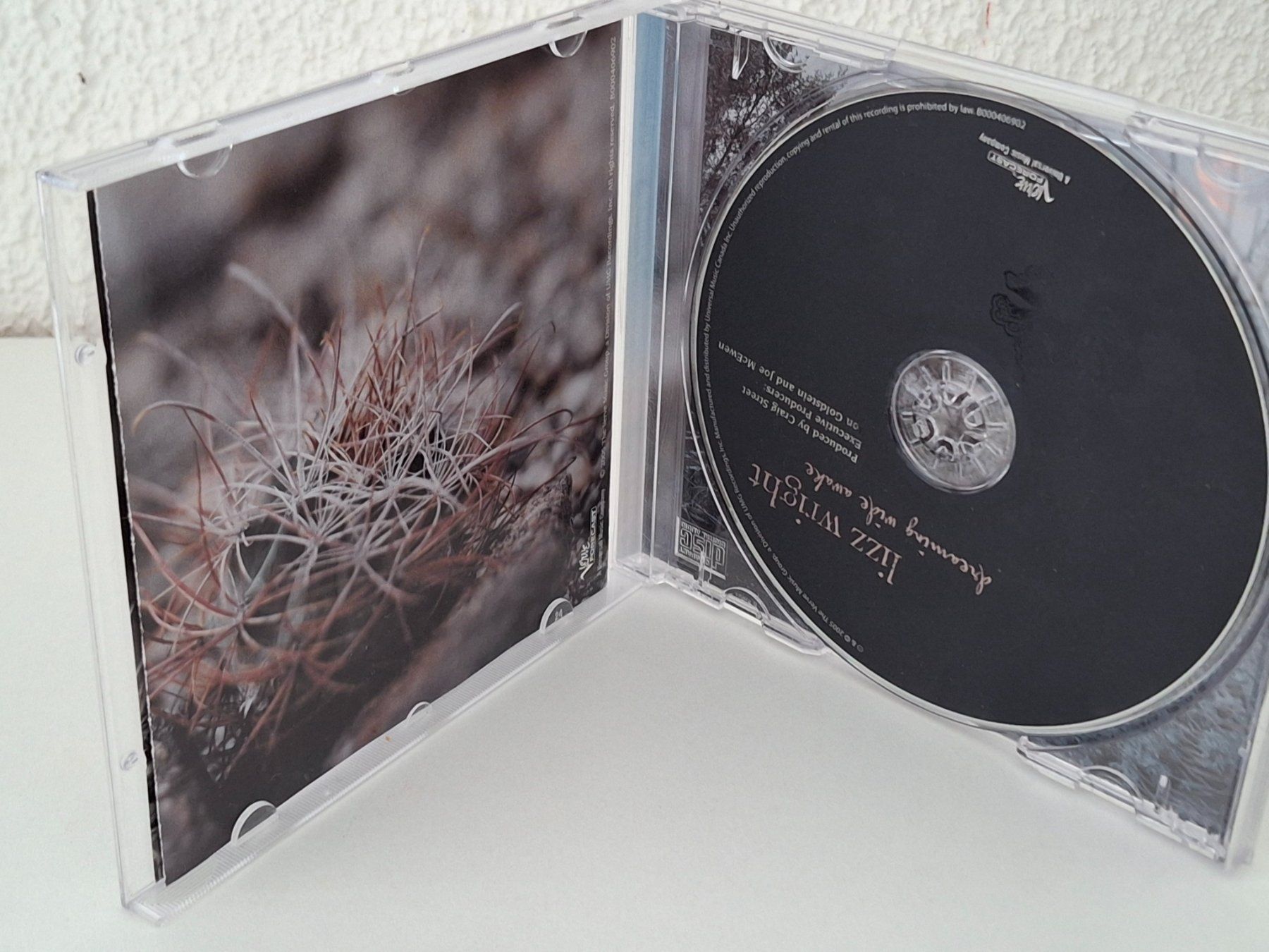CD: CD Lizz Wright - Dreaming Wide Awake   (Jazz Singer) – Usato da Aarberg venduto da Jackup1 2