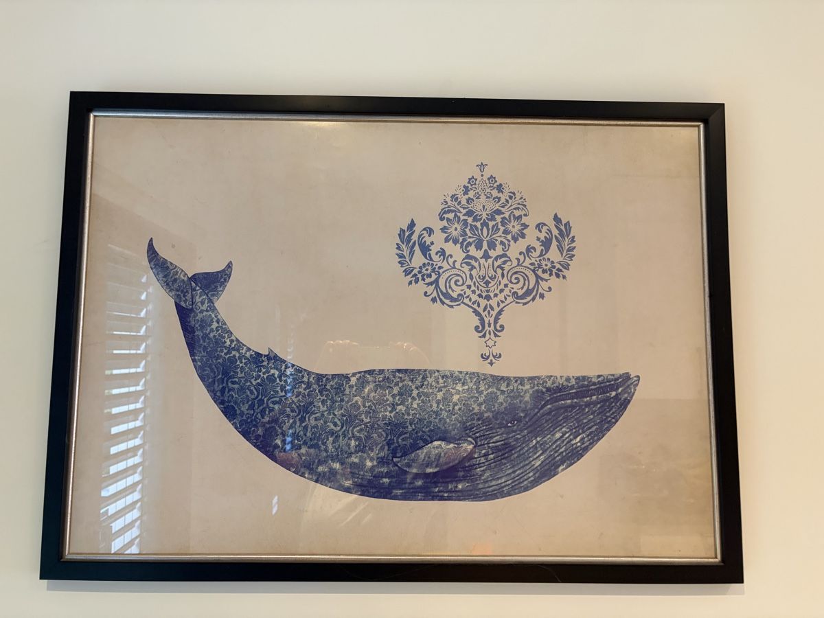 Foto & Immagini: Framed wale poster  – Usato da Le Grand-Saconnex venduto da lup_xbp7