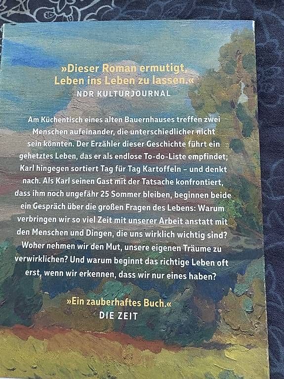 Bücher: 25 letzte Sommer Buch Stephan Schäfer – Gebraucht aus Marbach SG von Samantha-at 1