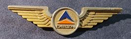 S867B - Alte Brosche DELTA AIRLINE Kiddy Pilot Wings Flügel