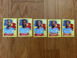 Panini Sticker COD
