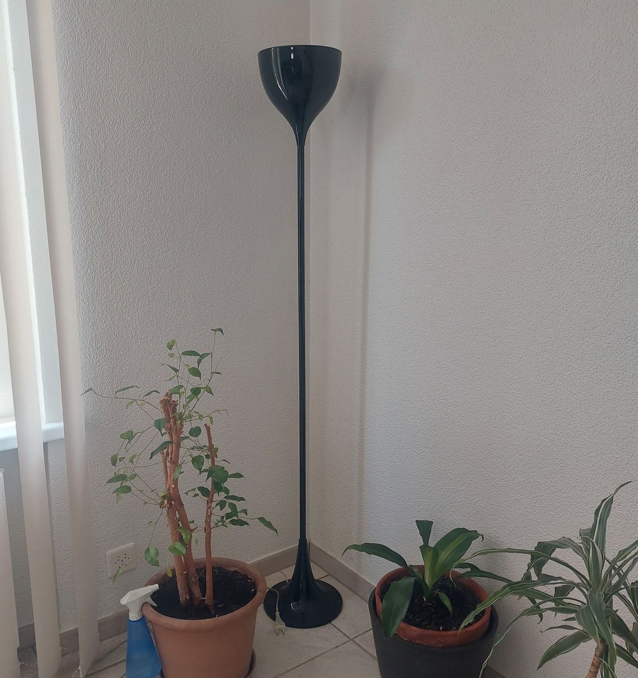 Lampen: Stehlampe schwarz, gut erhalten 160cm – Gebraucht aus Solothurn von Kuma5 1
