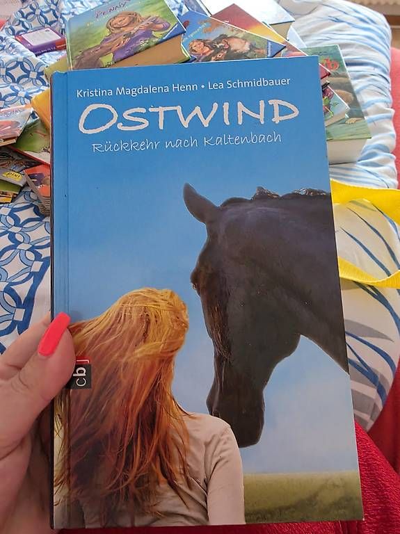 Bücher: Diverse Bücher – Gebraucht aus Safenwil von Brumanu01 1