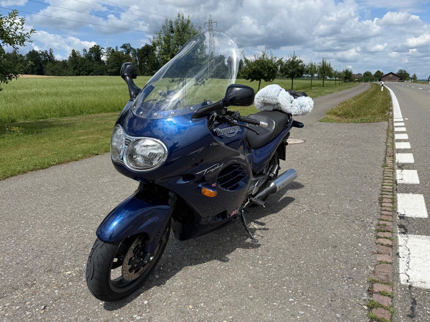 Triumph Touring: Triumph Trophy 1200 MFK 07/2025 – Usato da Rothenthurm venduto da norvil61