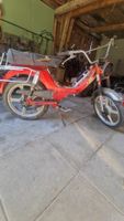 Mofa KTM
