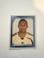 Panini UEFA Champions League 2008-2009 - Nr. 380