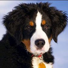 Profile image of DevoWe