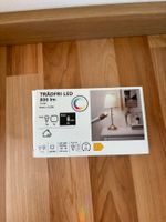 IKEA mehrfarbige LED Glühbirne mit Fernbedienung