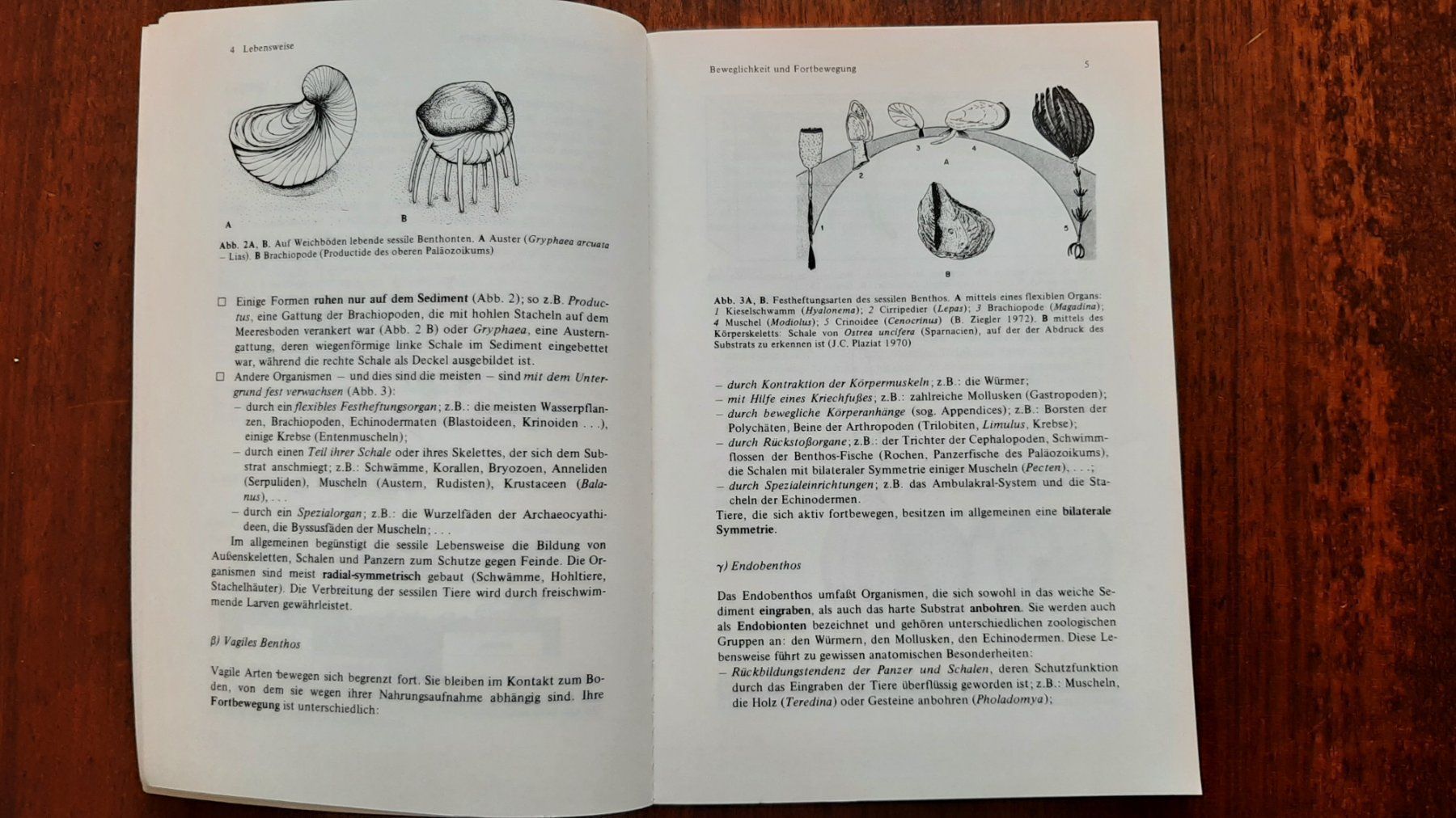 Bücher: Geologie Erdgeschichte – Gebraucht aus Rickenbach BL von Oktober68 2