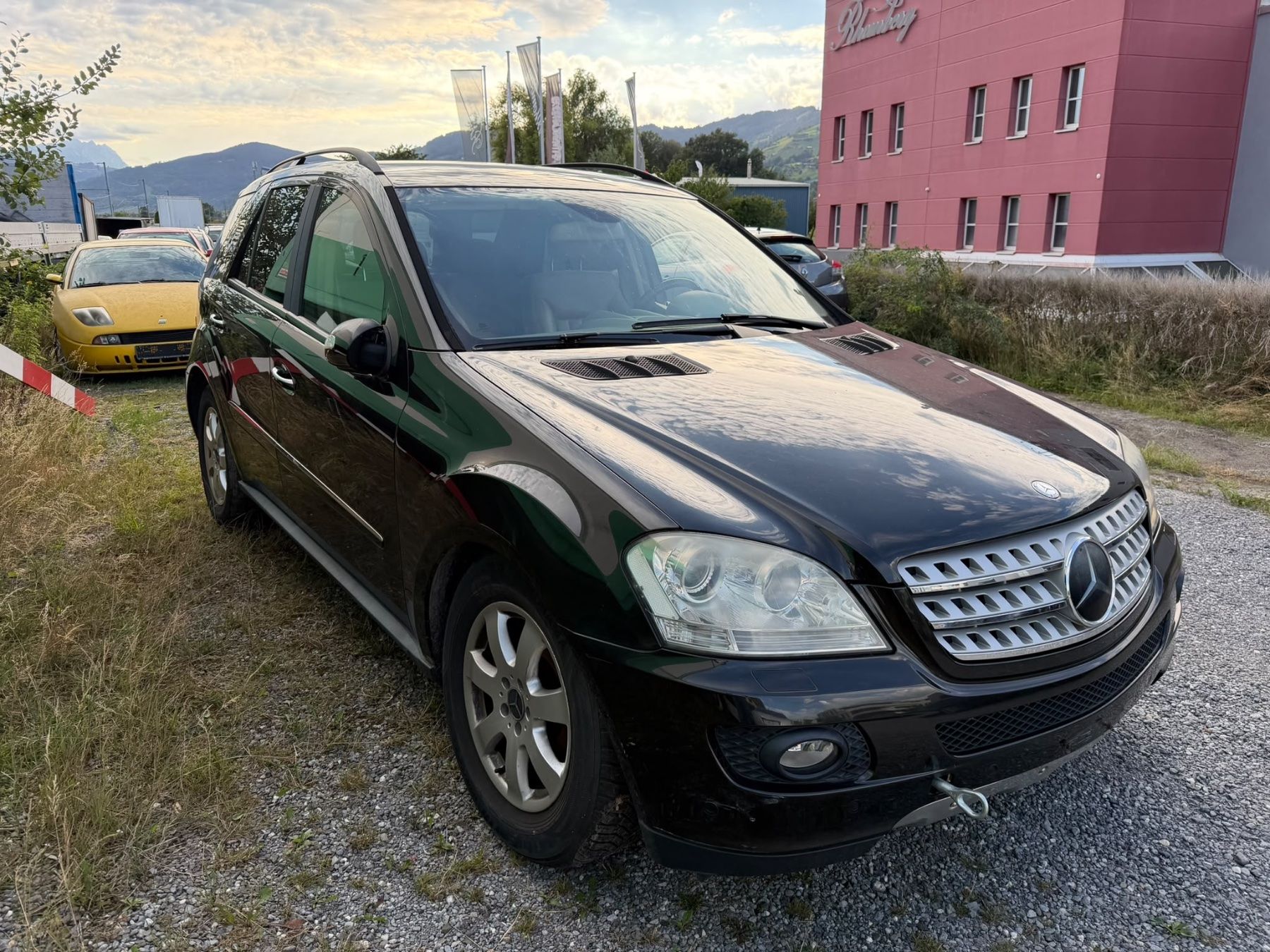 Mercedes-Benz Automobili: MERCEDES-BENZ ML 320 CDI – Usato da Rebstein venduto da TonyRasta-Autohandel 1