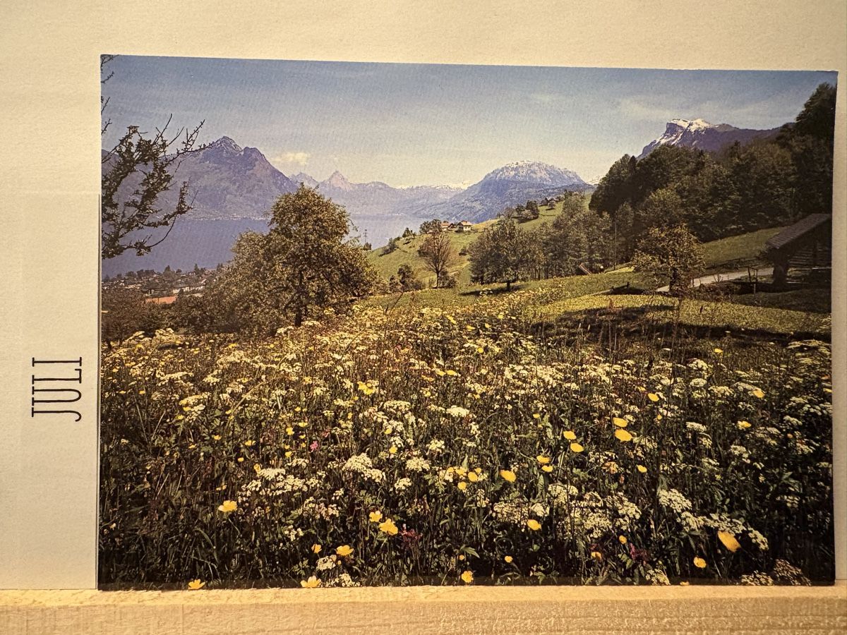 Ansichtskarten: AK von Beckenried Rigi Hohfluh – Gebraucht aus Rümlang von Kartenpost1