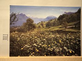 AK von Beckenried Rigi Hohfluh