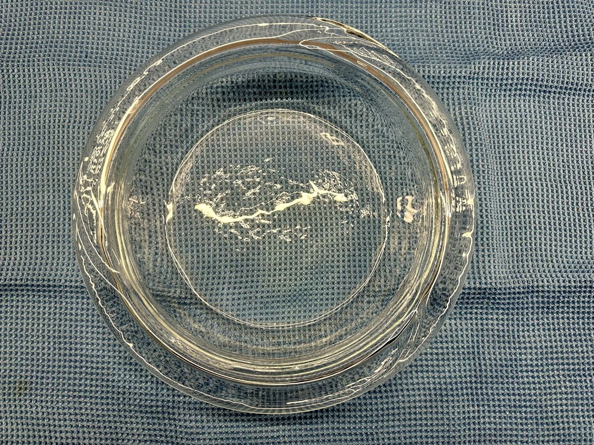 Glasi Hergiswil Ciotole: Schöne Glas-Schale. – Usato da Bern venduto da han_v82v