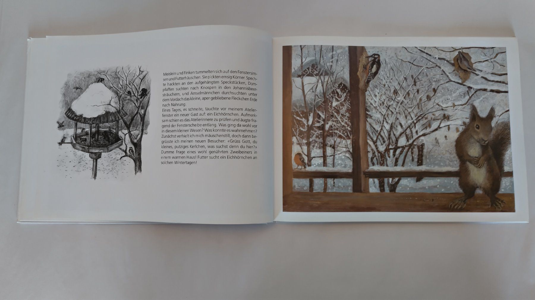 Bücher: Peter Bergmann - Eichhörnchen auf Besuch / Bilderbuch – Gebraucht aus Bellach von JingleJerry 4