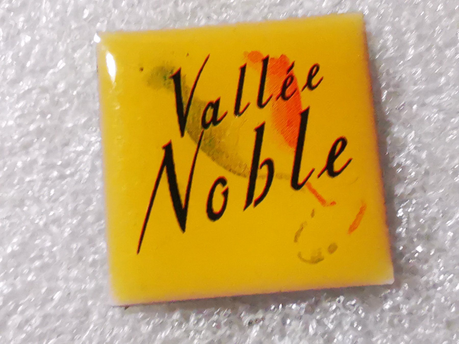 Plaketten & Abzeichen: Ansteckpin 161: Vallee Noble – Gebraucht aus Oppligen von Pin-Fall-Shop