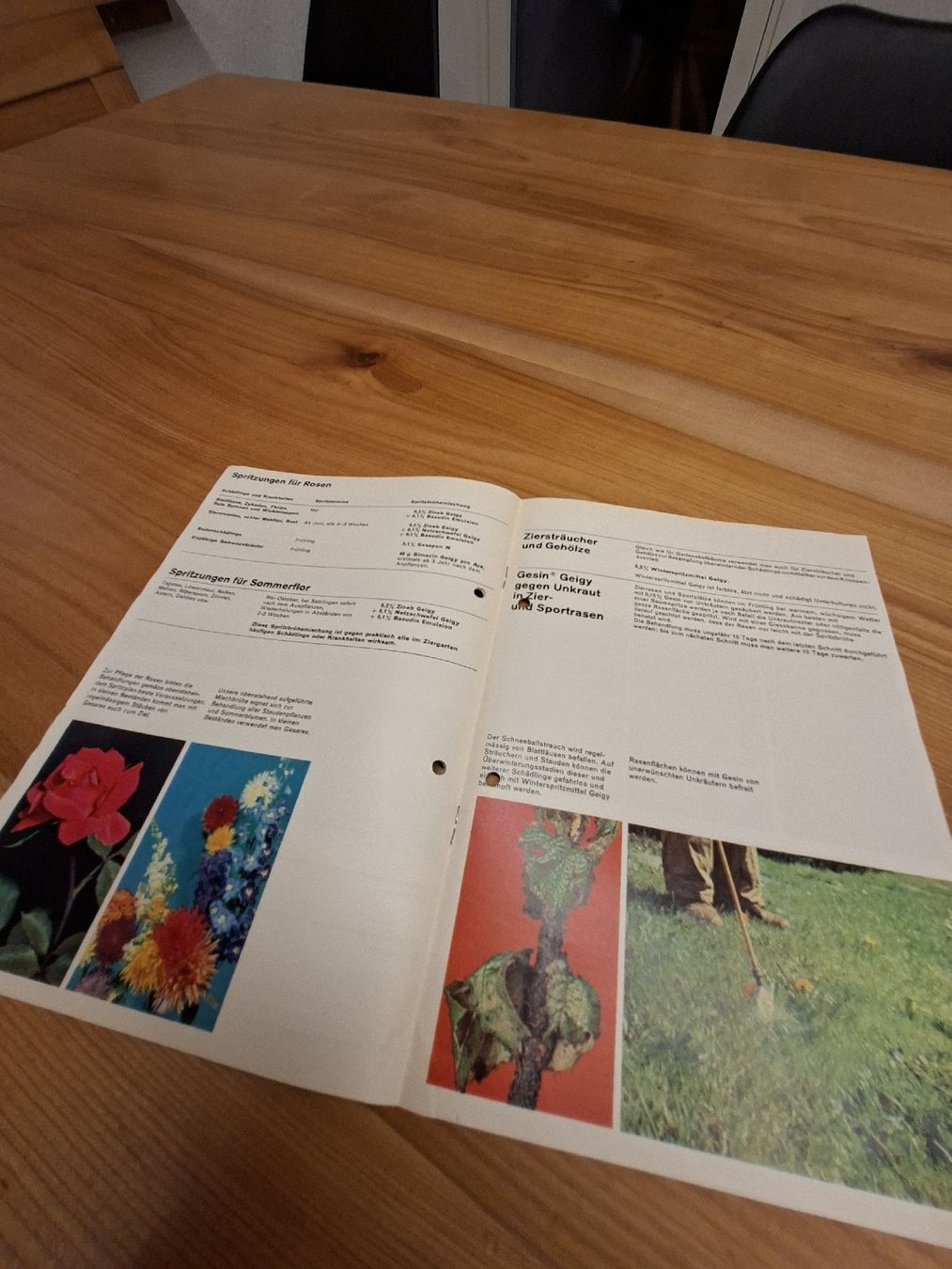 Documenti: Geigy AG Basel Prospekt 1960 – Usato da Ganterschwil venduto da HeidiuPeter 3