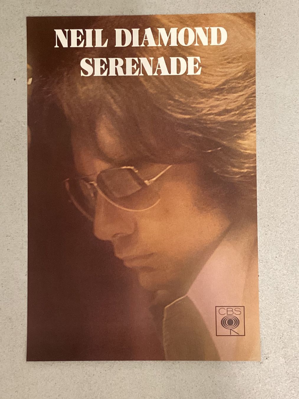 Foto & Immagini: Promoplakat Neil Diamond Serenade – Usato da Gutenswil venduto da Hamzian