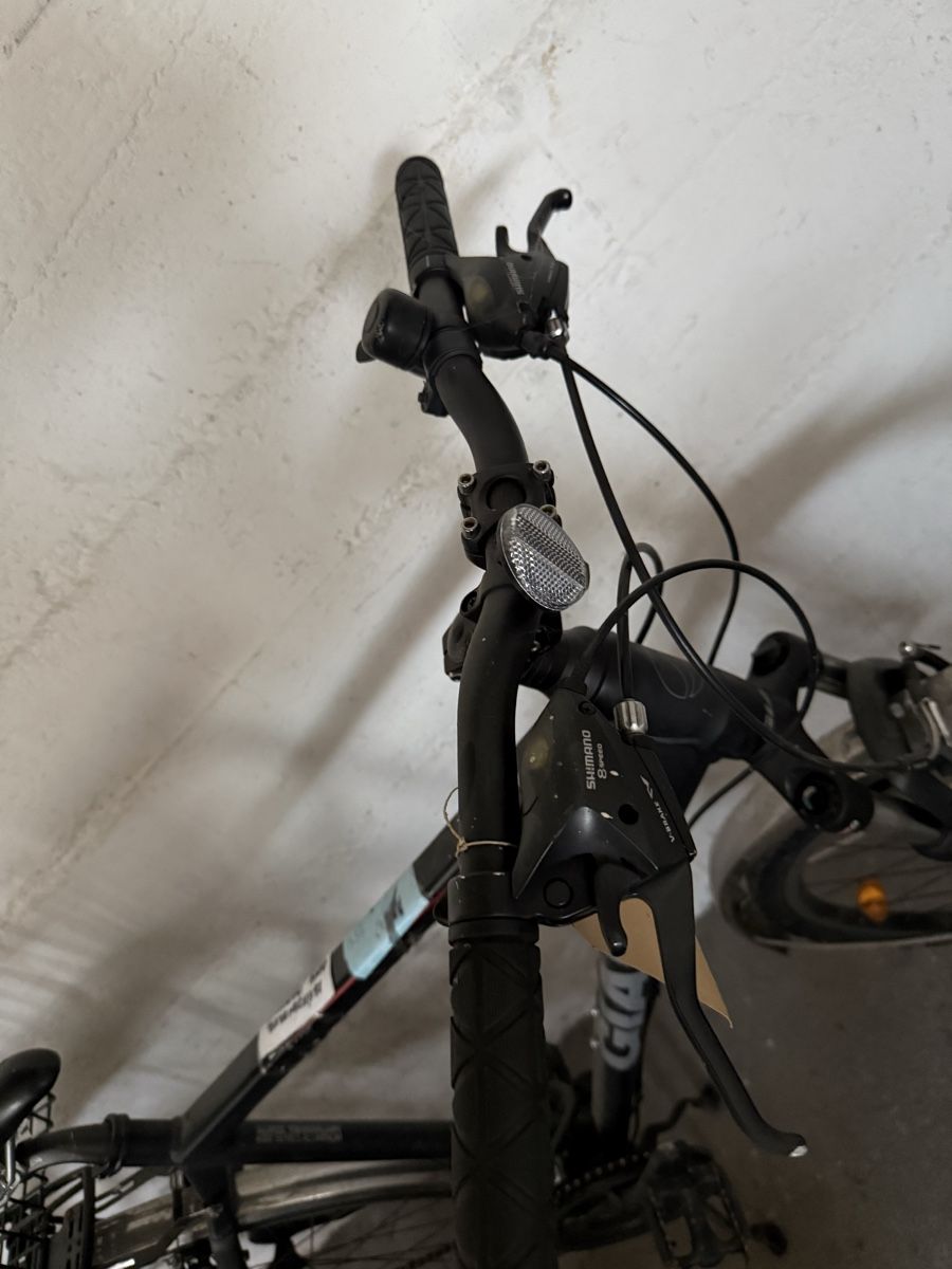 Biciclette: Herren Velo   – Usato da Zürich venduto da Patoreks 1